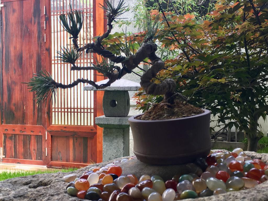 Bo Nan Homestay Dali  Eksteriør bilde